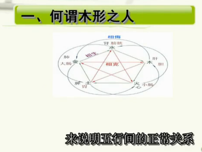 辨体质话食疗02 木形之人话食疗