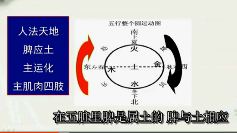 辨体质话食疗04 土形之人话食疗